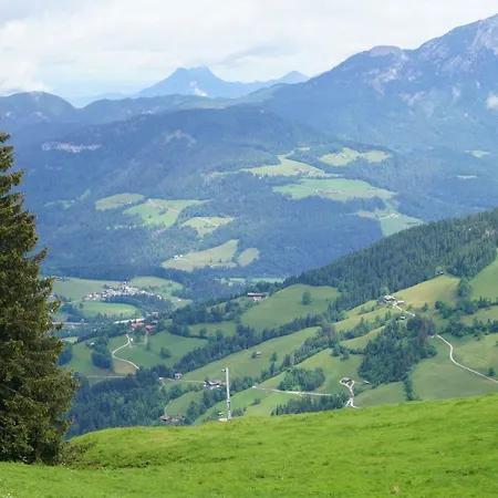 Apartment Sweet Dreams *